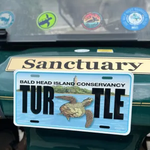 BHI Conservancy Sea Turtle Embossed License Plate