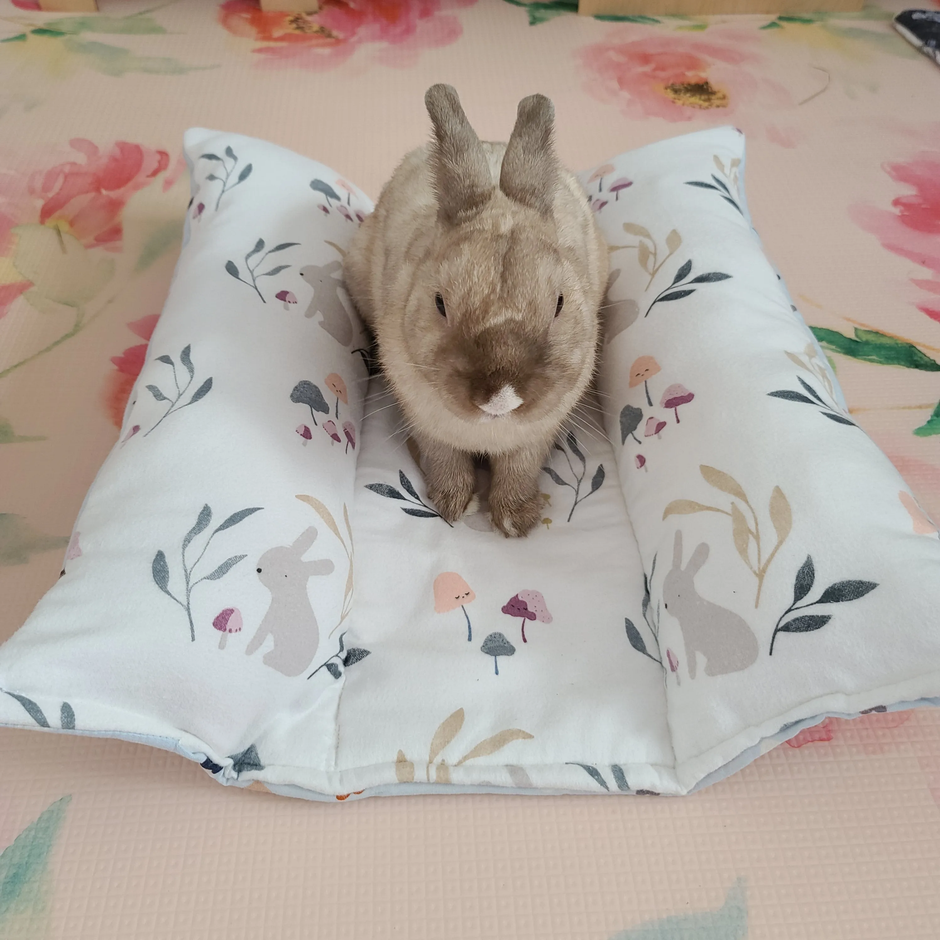 Design Your Own 100% Cotton Lychee's Lounger in 3 Sizes - Small, Med or Large (Temporary Item)
