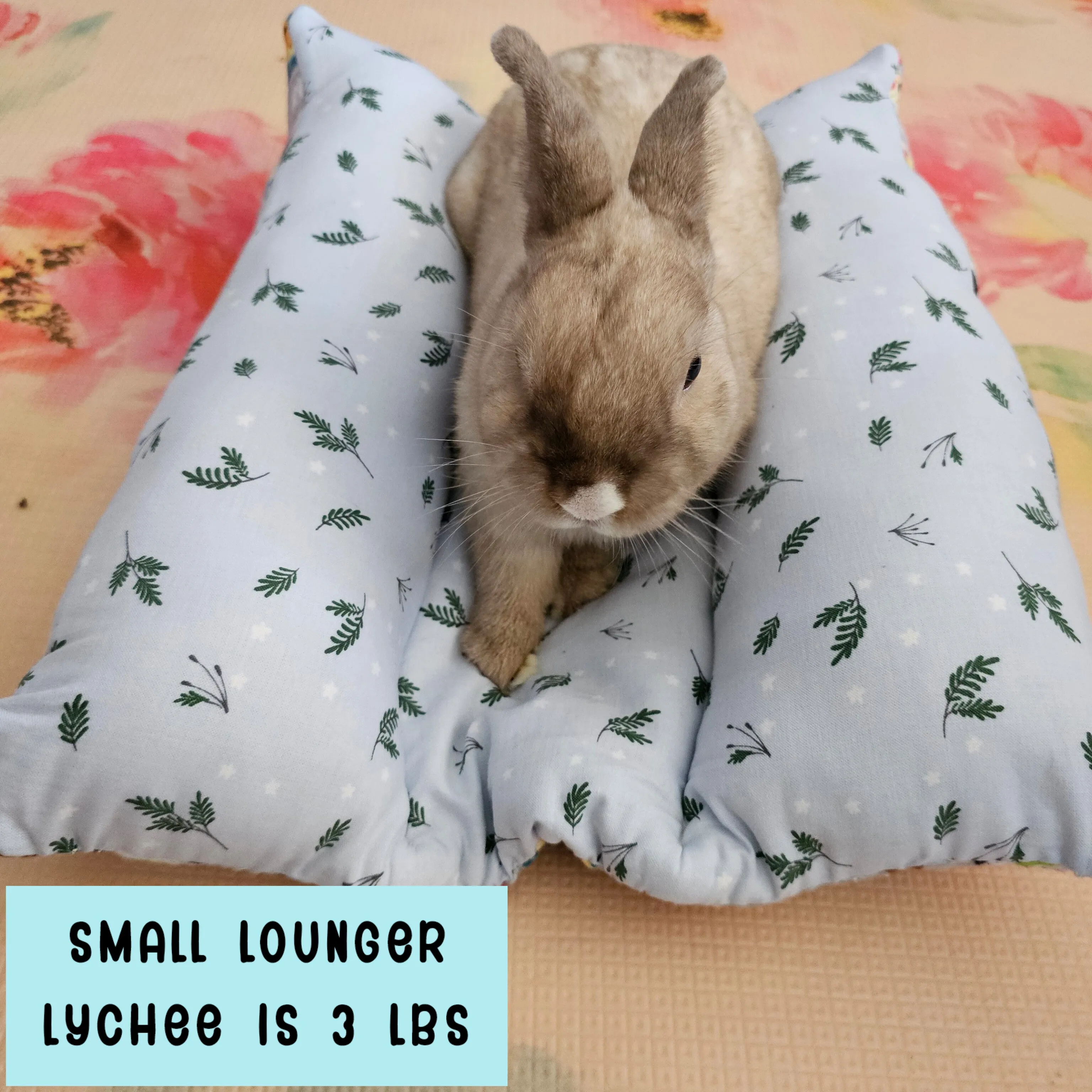 Design Your Own 100% Cotton Lychee's Lounger in 3 Sizes - Small, Med or Large (Temporary Item)