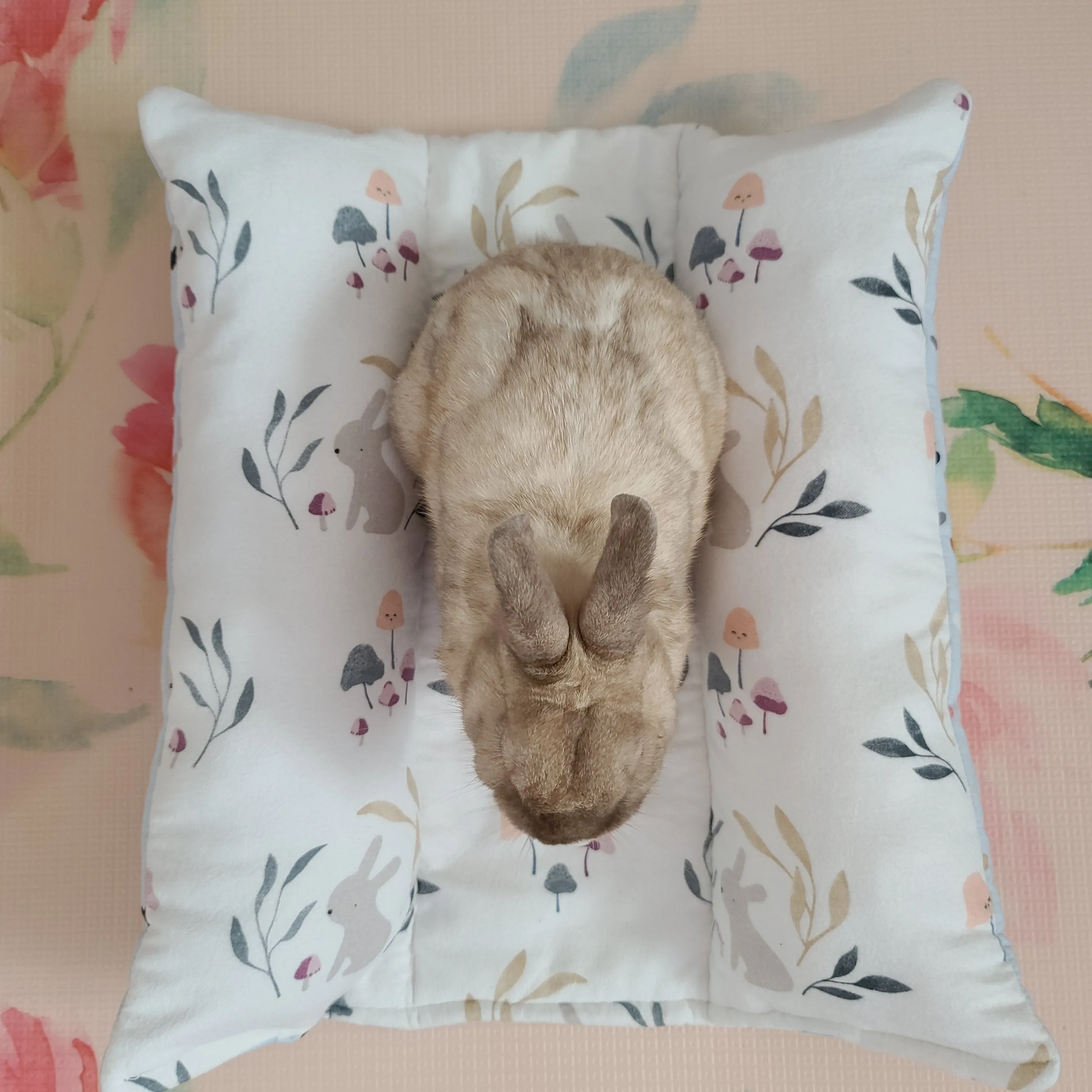 Design Your Own 100% Cotton Lychee's Lounger in 3 Sizes - Small, Med or Large (Temporary Item)