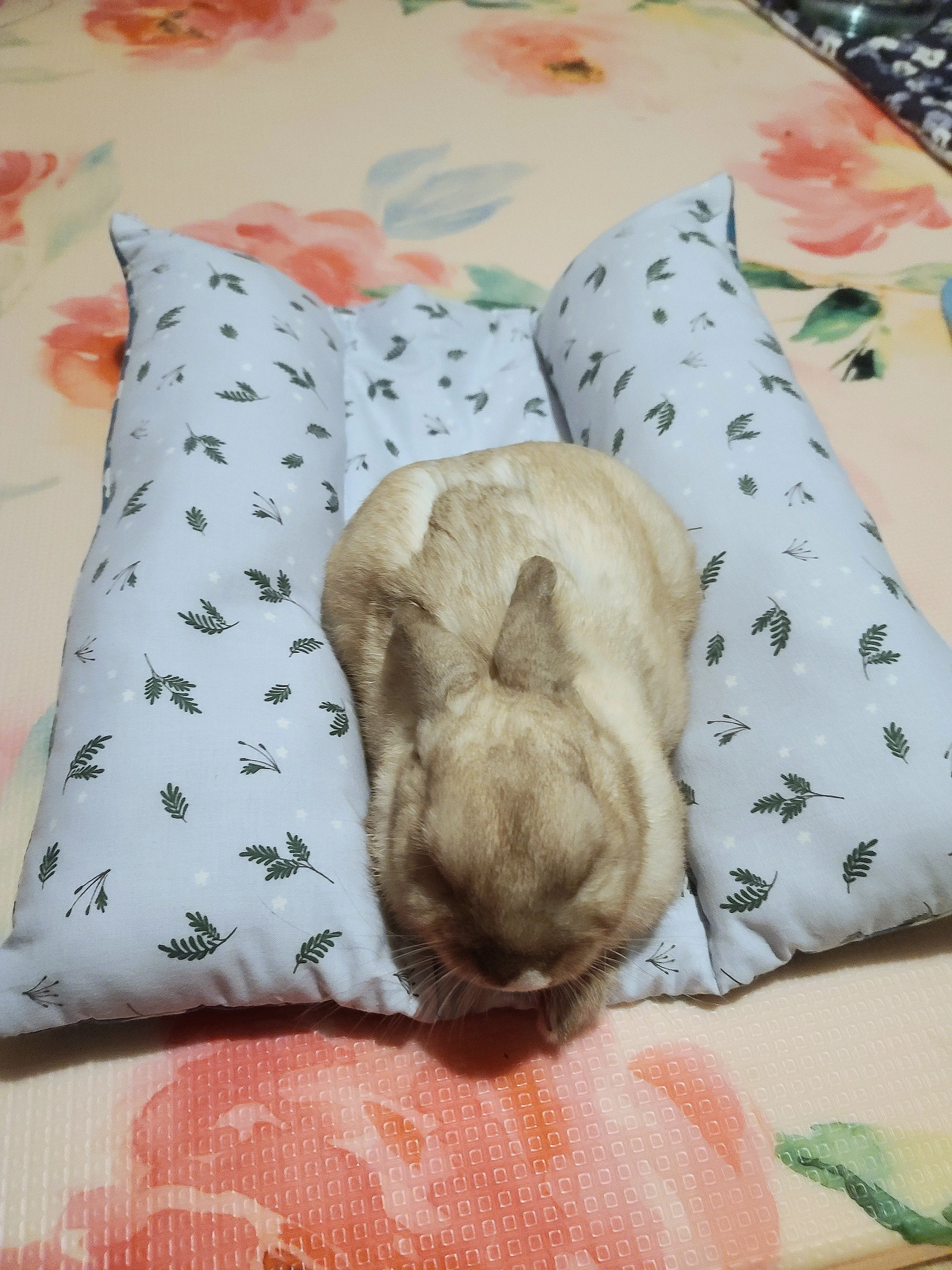 Design Your Own 100% Cotton Lychee's Lounger in 3 Sizes - Small, Med or Large (Temporary Item)