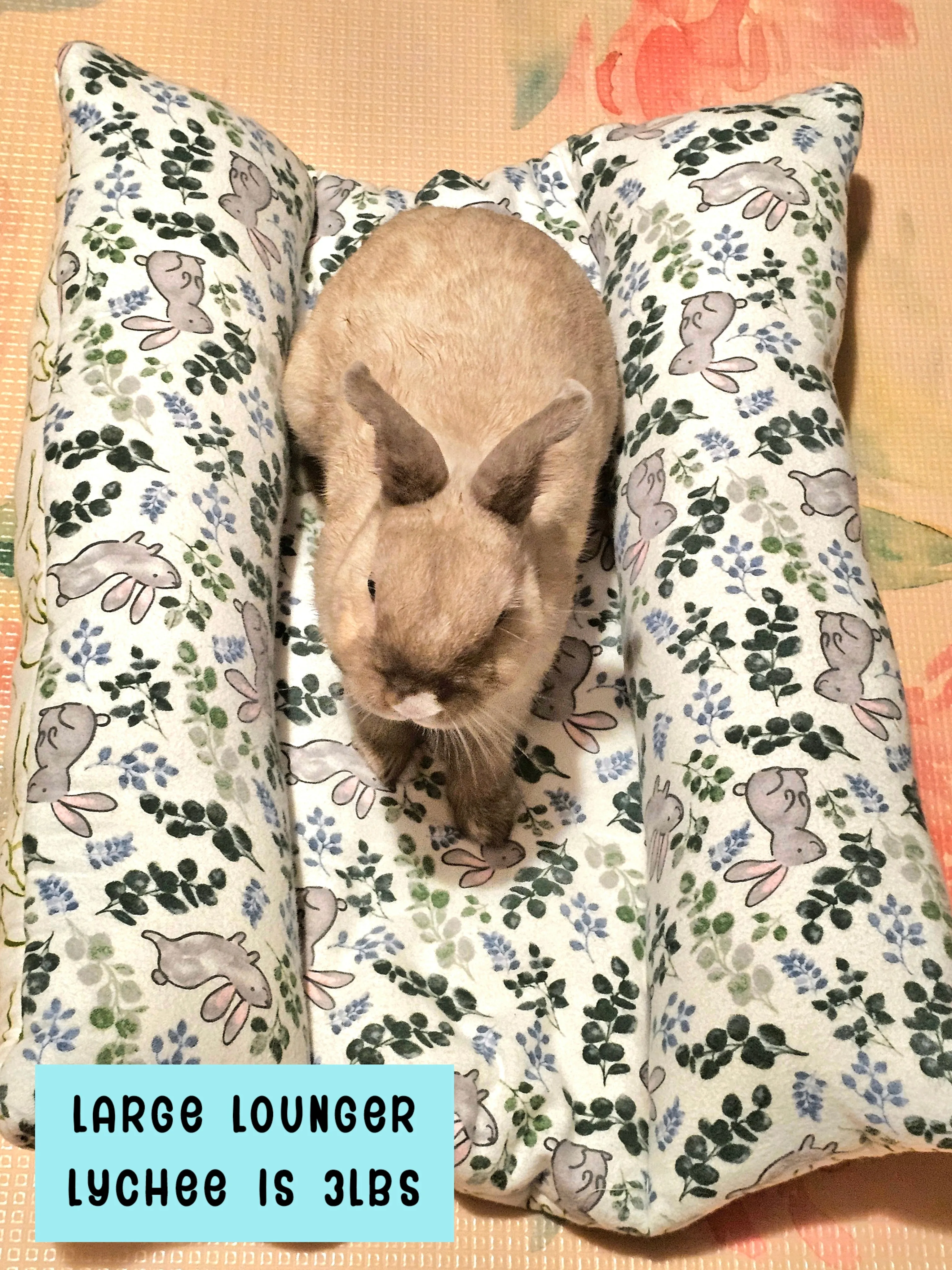 Design Your Own 100% Cotton Lychee's Lounger in 3 Sizes - Small, Med or Large (Temporary Item)