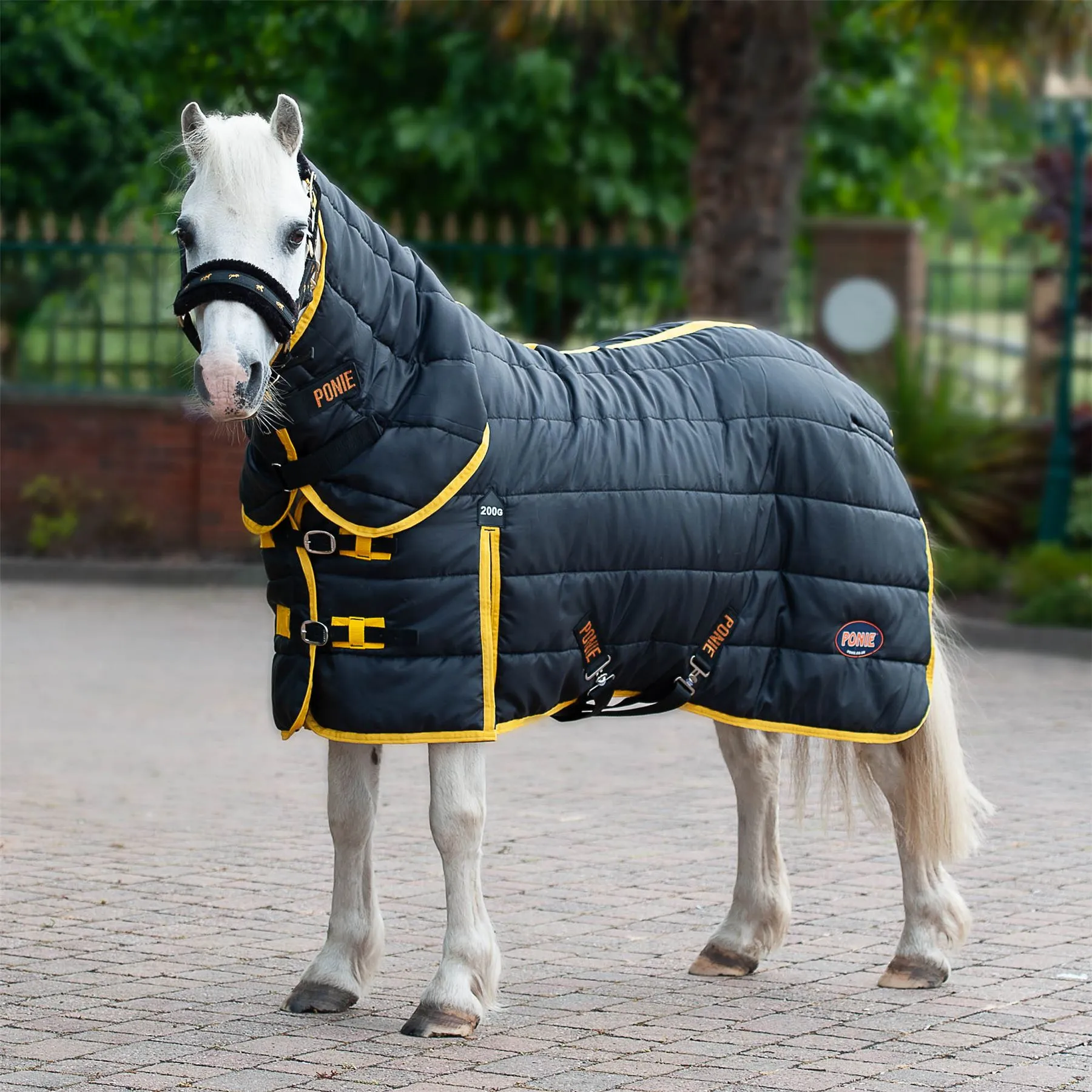 Gallop Equestrian Ponie 200 Stable Combo