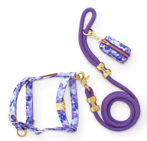 Pressed Pansies Harness Walk Set