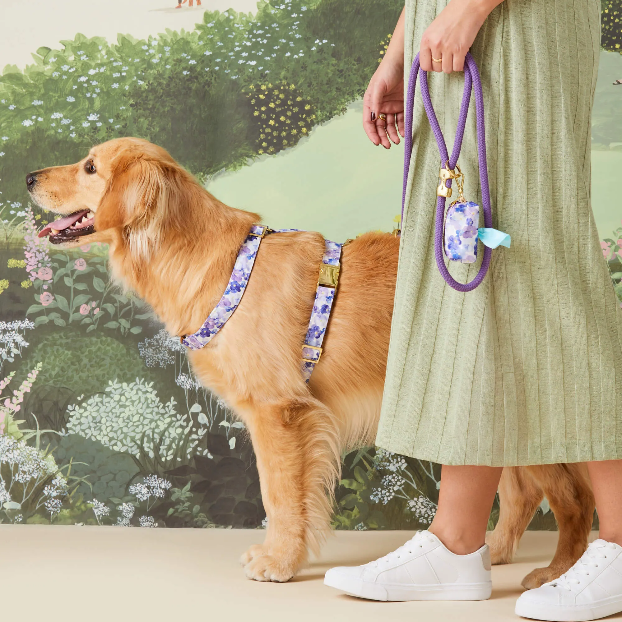 Pressed Pansies Harness Walk Set