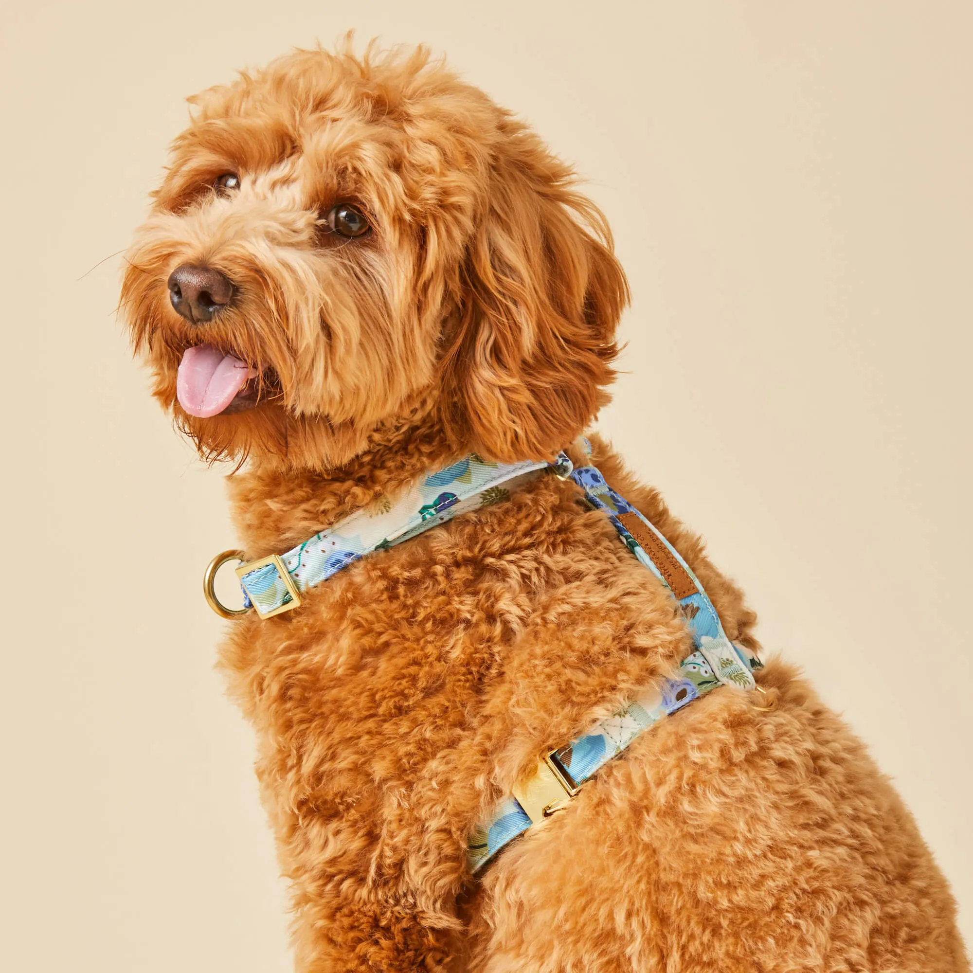 Rifle Paper Co. x TFD Vintage Blossom Harness Walk Set