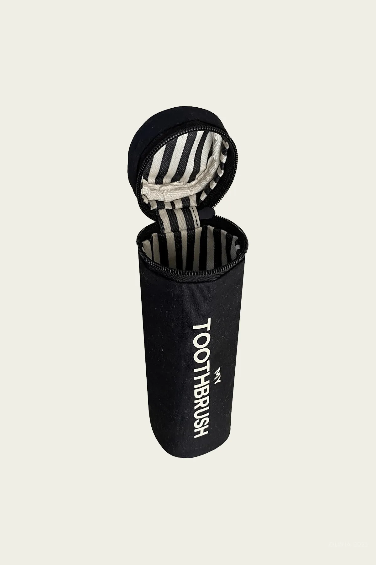 Toothbrush Travel Case in Black