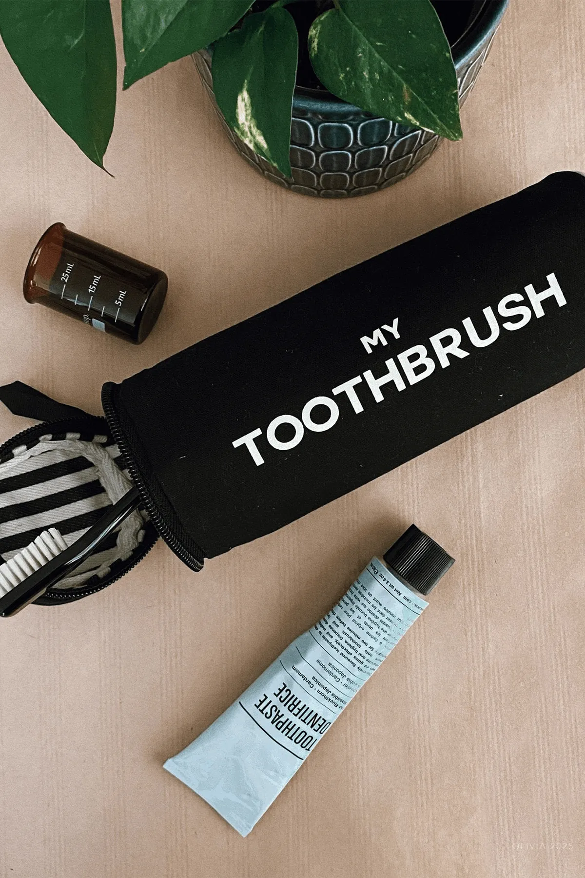 Toothbrush Travel Case in Black