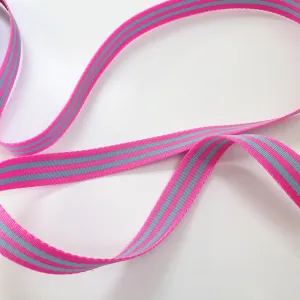 Tula Pink Webbing - Aqua / Hot Pink